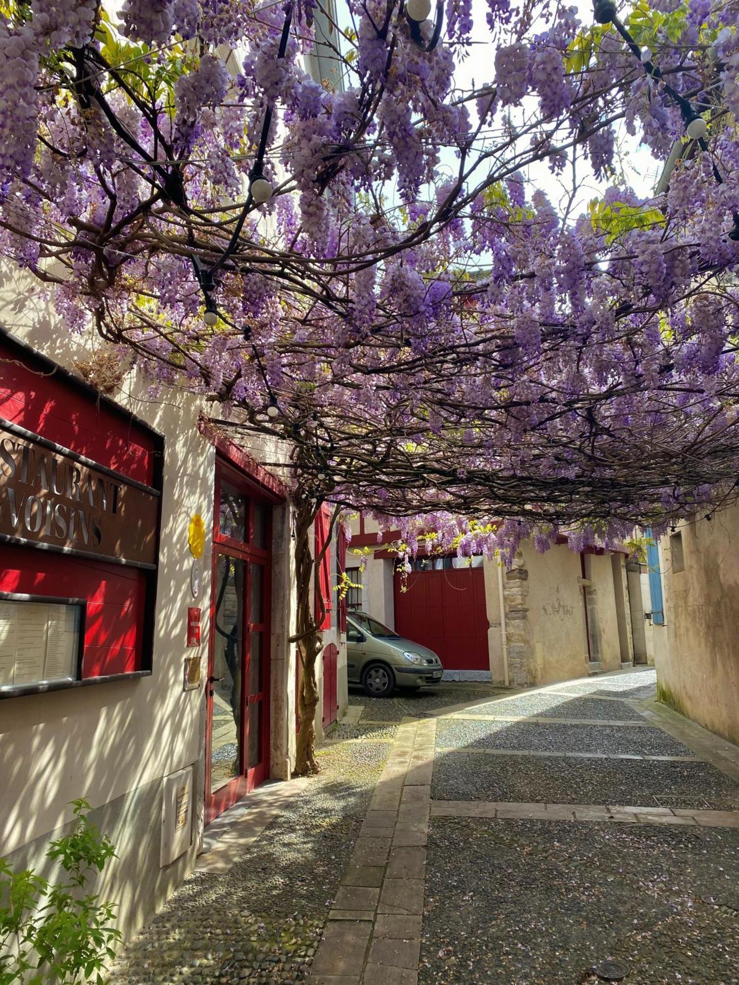 Agreable Petit Gite Avec Piscine Et Jardinet Salies-de-Béarn Екстериор снимка